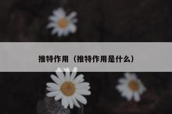 推特作用（推特作用是什么） 第1张