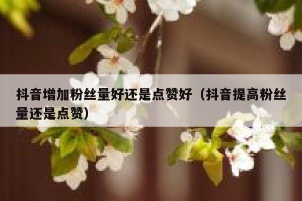 抖音增加粉丝量好还是点赞好(抖音提高粉丝量还是点赞) 第1张 抖音增加粉丝量好还是点赞好(抖音提高粉丝量还是点赞) 第1张