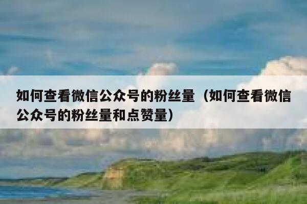 如何查看微信公众号的粉丝量（如何查看微信公众号的粉丝量和点赞量） 第1张