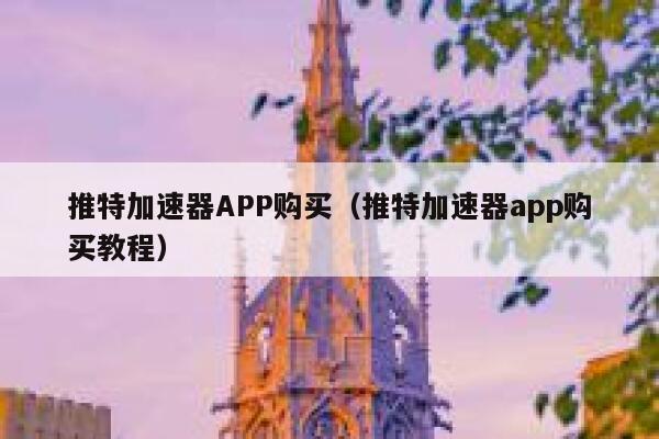 推特加速器APP购买（推特加速器app购买教程） 第1张