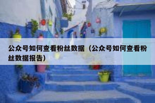 公众号如何查看粉丝数据（公众号如何查看粉丝数据报告） 第1张