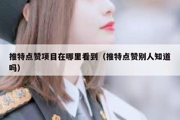 推特点赞项目在哪里看到（推特点赞别人知道吗） 第1张