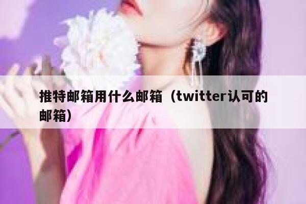 推特邮箱用什么邮箱（twitter认可的邮箱） 第1张