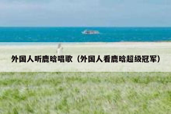 外国人听鹿晗唱歌(外国人看鹿晗超级冠军) 第1张 外国人听鹿晗唱歌(外国人看鹿晗超级冠军) 第1张