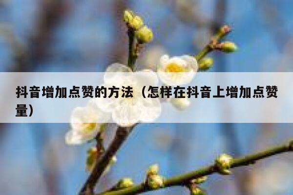 抖音增加点赞的方法（怎样在抖音上增加点赞量） 第1张