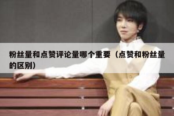 粉丝量和点赞评论量哪个重要(点赞和粉丝量的区别) 第1张 粉丝量和点赞评论量哪个重要(点赞和粉丝量的区别) 第1张
