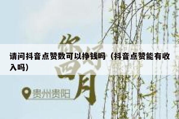 请问抖音点赞数可以挣钱吗（抖音点赞能有收入吗） 第1张