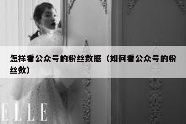 怎样看公众号的粉丝数据（如何看公众号的粉丝数） 第1张