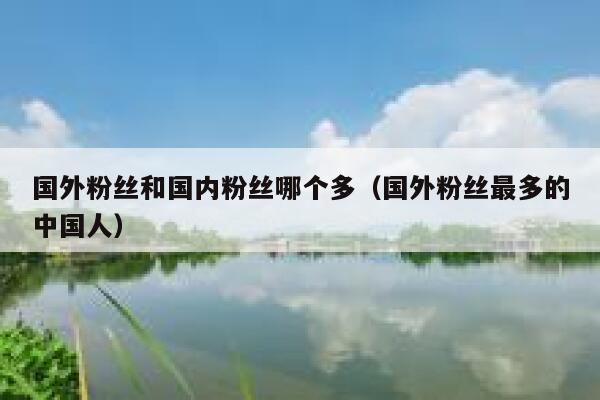 国外粉丝和国内粉丝哪个多（国外粉丝最多的中国人） 第1张