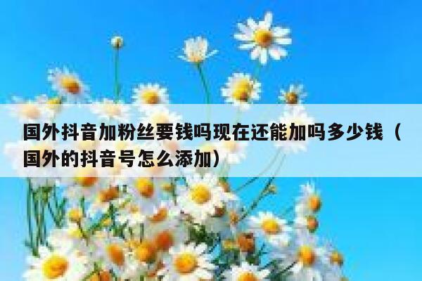 国外抖音加粉丝要钱吗现在还能加吗多少钱（国外的抖音号怎么添加） 第1张