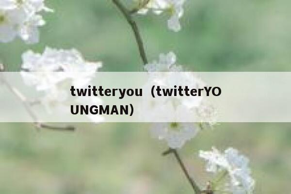 twitteryou（twitterYOUNGMAN） 第1张