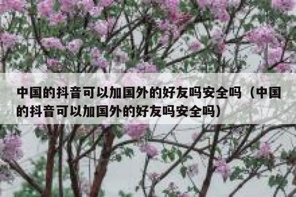 中国的抖音可以加国外的好友吗安全吗(中国的抖音可以加国外的好友吗安全吗) 第1张 中国的抖音可以加国外的好友吗安全吗(中国的抖音可以加国外的好友吗安全吗) 第1张