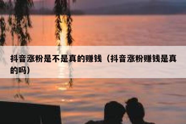 抖音涨粉是不是真的赚钱（抖音涨粉赚钱是真的吗） 第1张