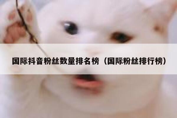 国际抖音粉丝数量排名榜（国际粉丝排行榜） 第1张