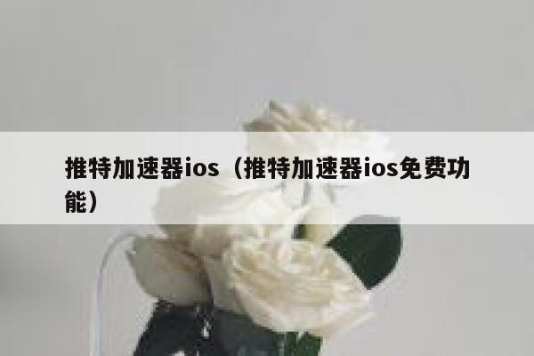推特加速器ios(推特加速器ios免费功能) 第1张 推特加速器ios(推特加速器ios免费功能) 第1张