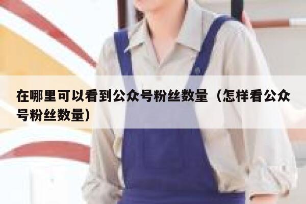 在哪里可以看到公众号粉丝数量(怎样看公众号粉丝数量) 第1张 在哪里可以看到公众号粉丝数量(怎样看公众号粉丝数量) 第1张