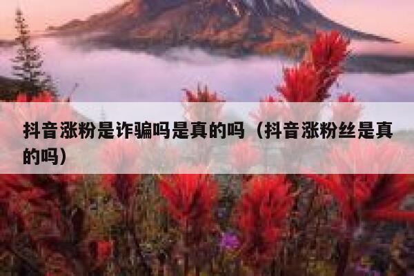 抖音涨粉是诈骗吗是真的吗(抖音涨粉丝是真的吗) 第1张 抖音涨粉是诈骗吗是真的吗(抖音涨粉丝是真的吗) 第1张