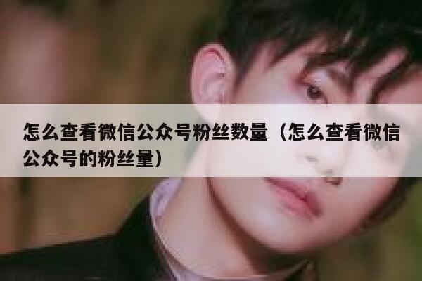 怎么查看微信公众号粉丝数量（怎么查看微信公众号的粉丝量） 第1张