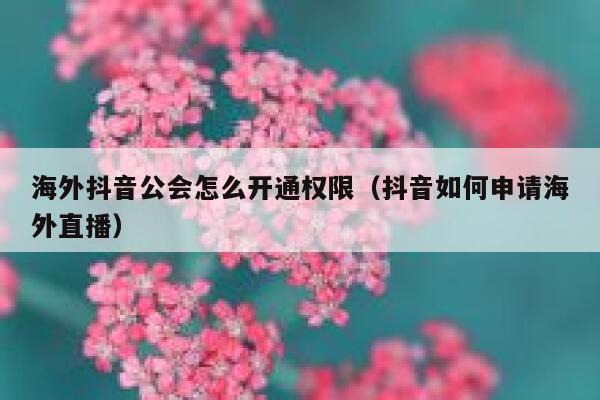 海外抖音公会怎么开通权限（抖音如何申请海外直播） 第1张