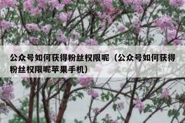 公众号如何获得粉丝权限呢（公众号如何获得粉丝权限呢苹果手机） 第1张