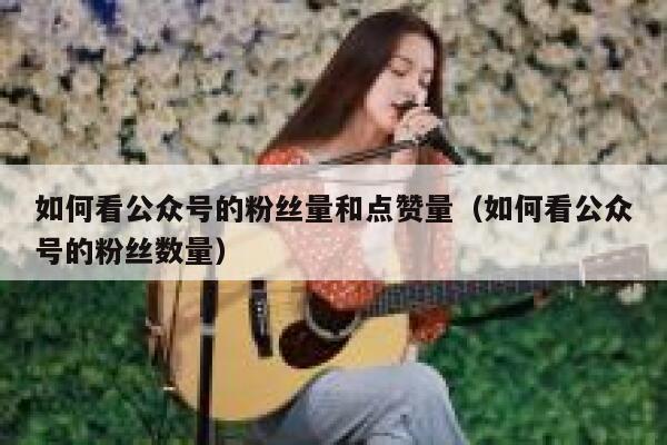 如何看公众号的粉丝量和点赞量（如何看公众号的粉丝数量） 第1张