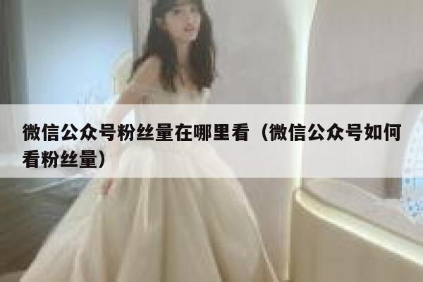 微信公众号粉丝量在哪里看（微信公众号如何看粉丝量） 第1张