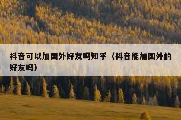 抖音可以加国外好友吗知乎（抖音能加国外的好友吗） 第1张