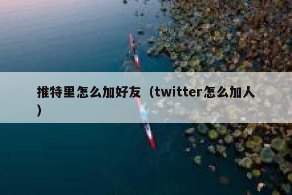 推特里怎么加好友（twitter怎么加人） 第1张