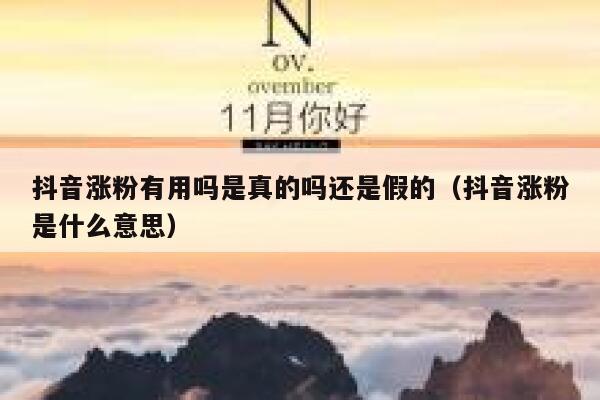 抖音涨粉有用吗是真的吗还是假的（抖音涨粉是什么意思） 第1张