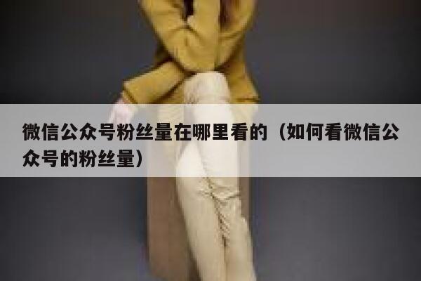 微信公众号粉丝量在哪里看的（如何看微信公众号的粉丝量） 第1张