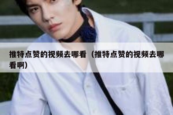 推特点赞的视频去哪看（推特点赞的视频去哪看啊） 第1张