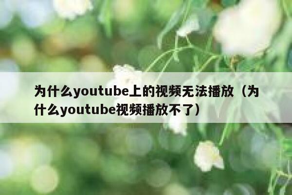为什么youtube上的视频无法播放（为什么youtube视频播放不了） 第1张