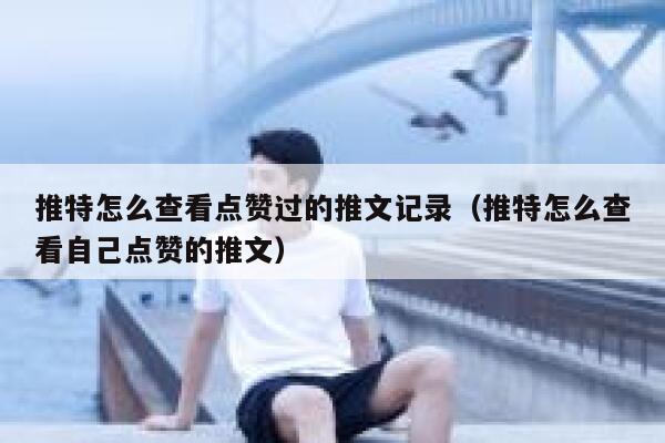 推特怎么查看点赞过的推文记录（推特怎么查看自己点赞的推文） 第1张