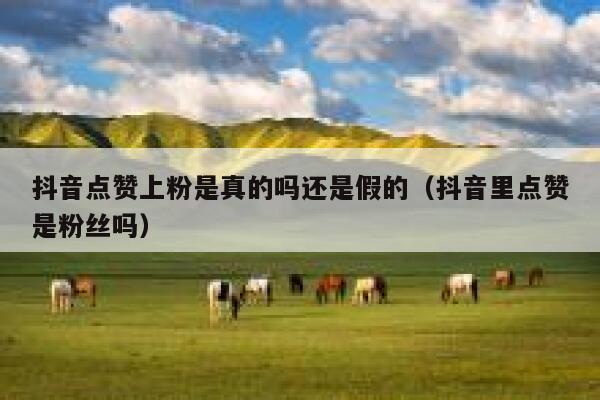 抖音点赞上粉是真的吗还是假的（抖音里点赞是粉丝吗） 第1张