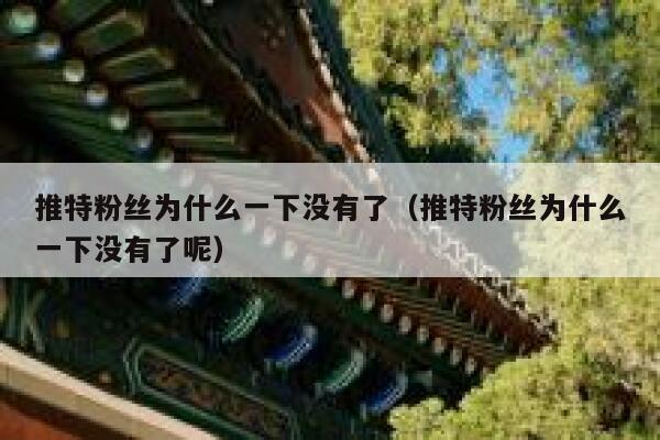 推特粉丝为什么一下没有了（推特粉丝为什么一下没有了呢） 第1张