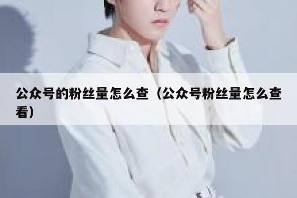 公众号的粉丝量怎么查（公众号粉丝量怎么查看） 第1张