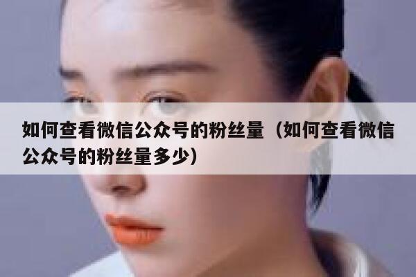 如何查看微信公众号的粉丝量（如何查看微信公众号的粉丝量多少） 第1张