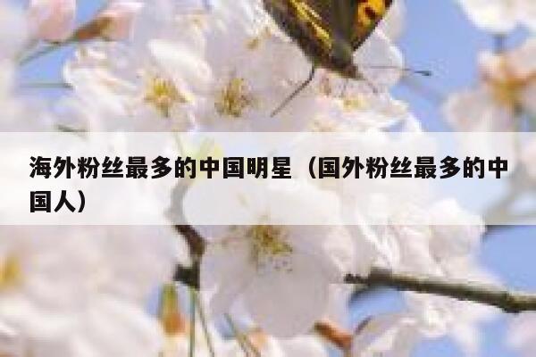 海外粉丝最多的中国明星（国外粉丝最多的中国人） 第1张