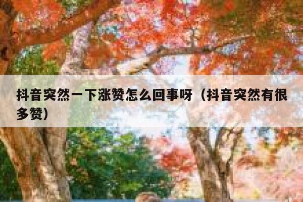 抖音突然一下涨赞怎么回事呀（抖音突然有很多赞） 第1张