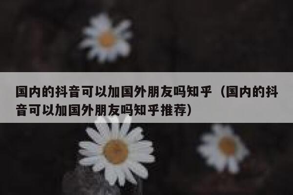 国内的抖音可以加国外朋友吗知乎（国内的抖音可以加国外朋友吗知乎推荐） 第1张