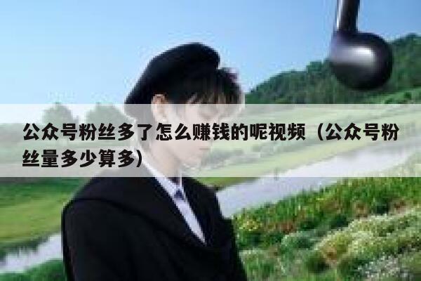 公众号粉丝多了怎么赚钱的呢视频（公众号粉丝量多少算多） 第1张