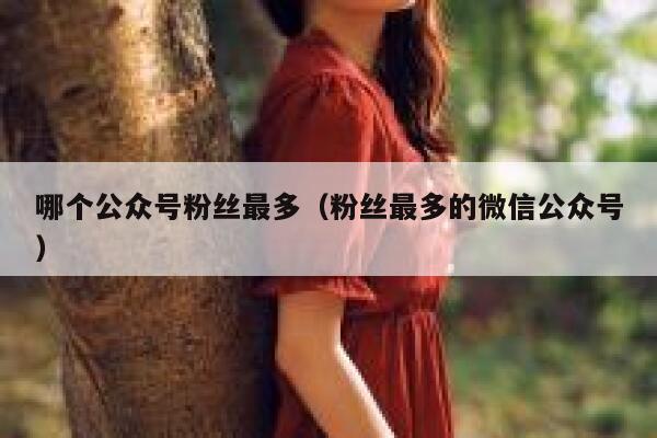 哪个公众号粉丝最多（粉丝最多的微信公众号） 第1张