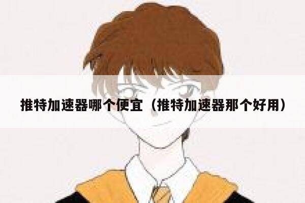 推特加速器哪个便宜（推特加速器那个好用） 第1张