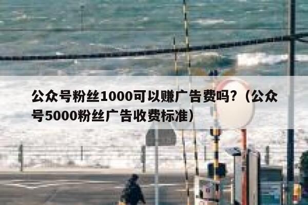 公众号粉丝1000可以赚广告费吗?(公众号5000粉丝广告收费标准) 第1张 公众号粉丝1000可以赚广告费吗?(公众号5000粉丝广告收费标准) 第1张