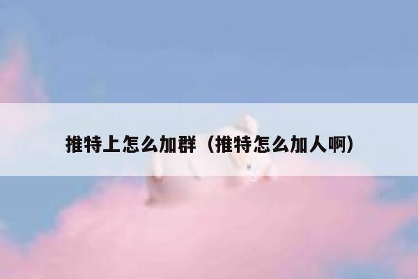 推特上怎么加群（推特怎么加人啊） 第1张