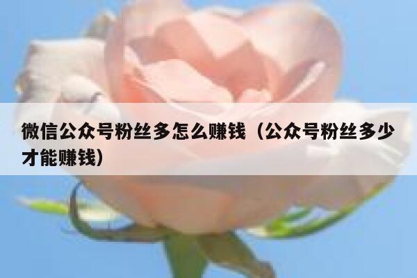 微信公众号粉丝多怎么赚钱（公众号粉丝多少才能赚钱） 第1张