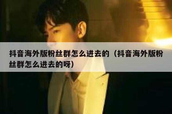 抖音海外版粉丝群怎么进去的（抖音海外版粉丝群怎么进去的呀） 第1张