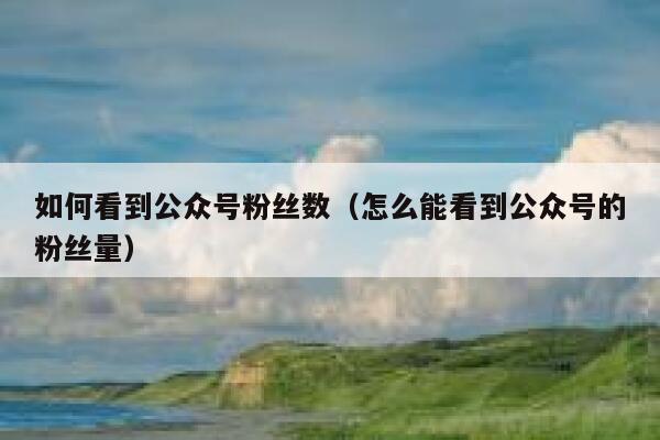 如何看到公众号粉丝数（怎么能看到公众号的粉丝量） 第1张