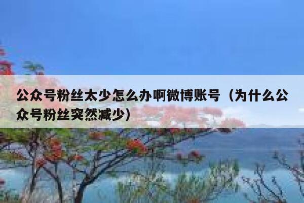 公众号粉丝太少怎么办啊微博账号（为什么公众号粉丝突然减少） 第1张