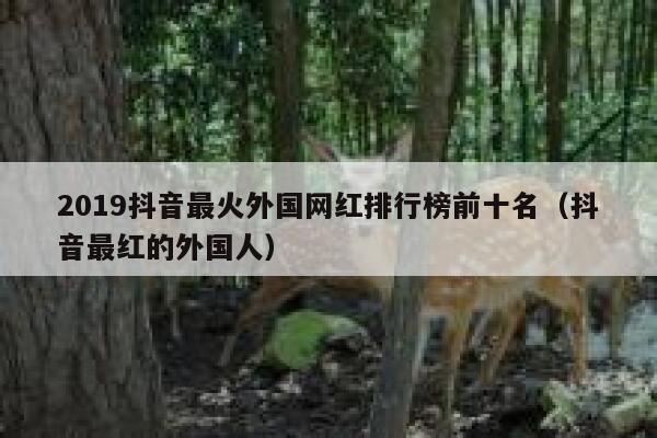 2019抖音最火外国网红排行榜前十名（抖音最红的外国人） 第1张